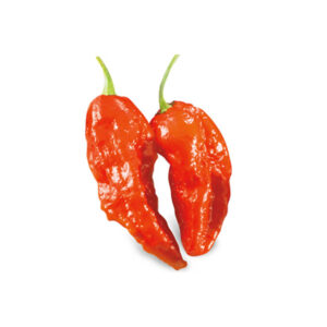 Semi di Bhut Jolokia